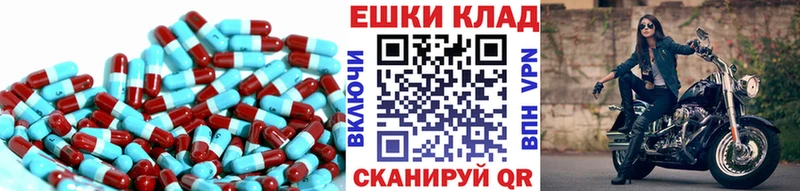 Ecstasy Philipp Plein  МЕГА ссылки  Кадников 