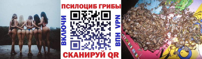 Псилоцибиновые грибы прущие грибы  shop формула  Кадников 